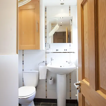 Leeson 公寓 都柏林